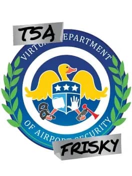 TSA Frisky VR