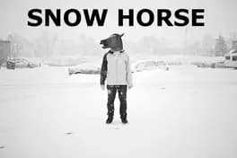 Snow Horse