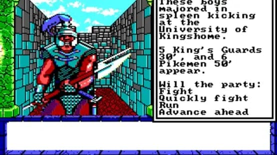 Dragon Wars — Screenshoty