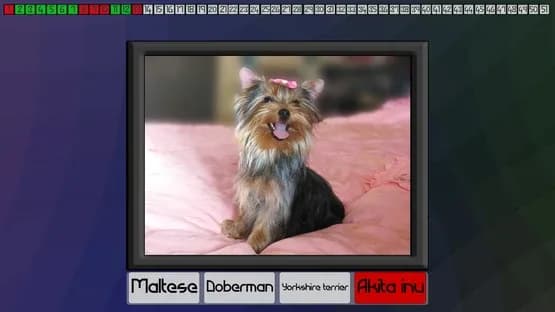 Test your knowledge: Dogs — Screenshoty
