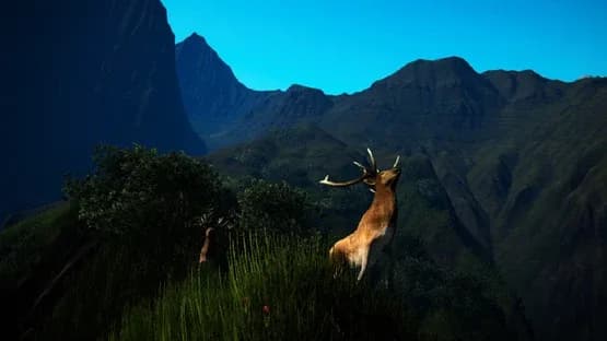 Ka Mate — Screenshots