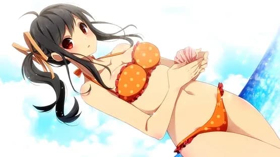 Sakura Beach 2 — Screenshots