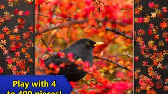 Jigsaw Puzzles Epic — Screenshots