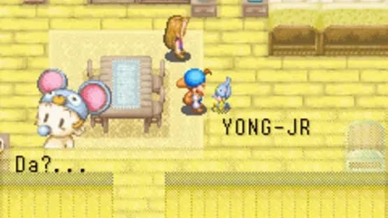 Harvest Moon: Friends of Mineral Town — Screenshoty