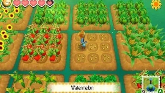 Story of Seasons — Screenshoty