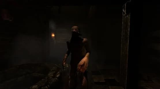 Amnesia: Collection — Screenshoty