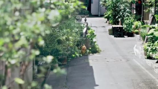Pokémon Go — Screenshoty