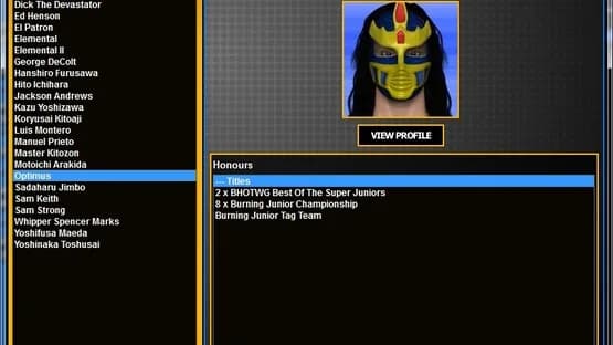 Total Extreme Wrestling 2013 — Screenshots