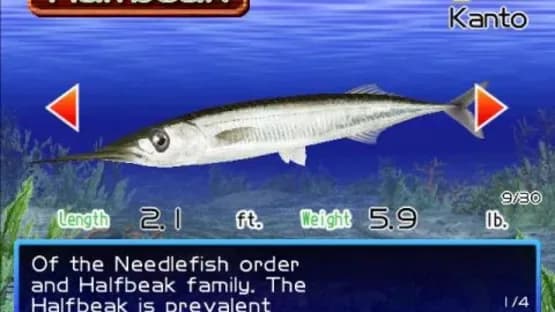Fishing Master — Screenshots