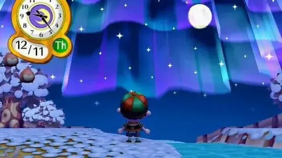 Animal Crossing: City Folk — Screenshoty