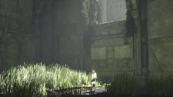 The Last Guardian — Screenshoty