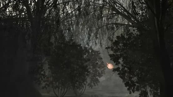 Scratches: Director's Cut — Screenshots