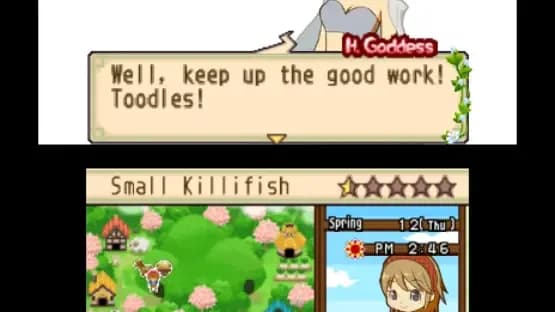 Harvest Moon: The Tale of Two Towns — Screenshots