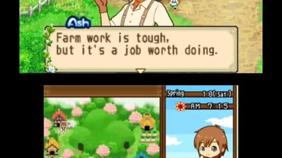 Harvest Moon: The Tale of Two Towns — Screenshots