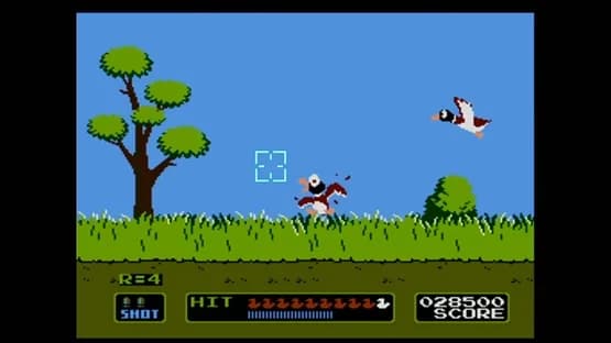 Duck Hunt — Screenshoty