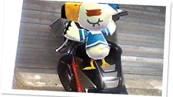 Photos with Animal Crossing — Screenshoty