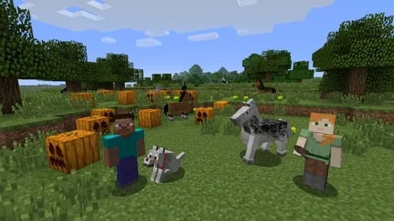 Minecraft: Wii U Edition — Screenshoty
