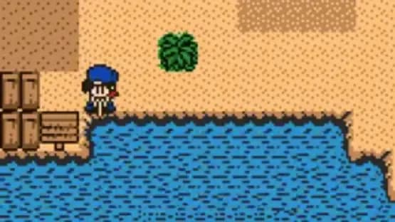 Harvest Moon 2 GBC — Screenshoty