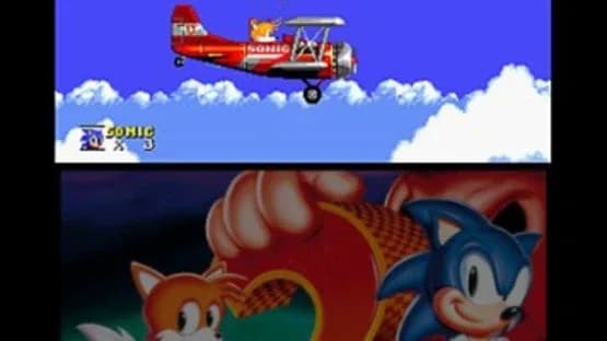 3D Sonic the Hedgehog 2 — Screenshoty