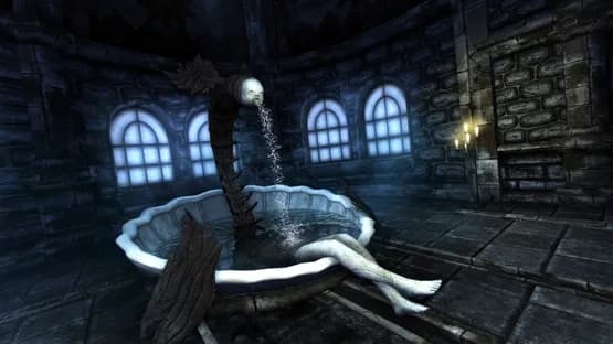 Amnesia: Collection — Screenshoty