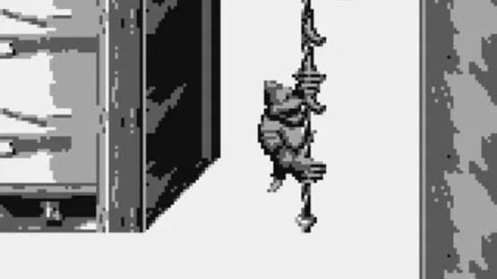 Donkey Kong Land III — Screenshoty
