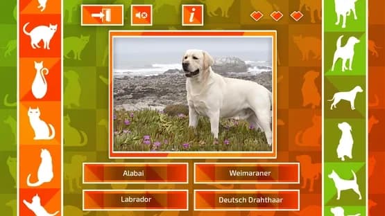 JQ: dogs & cats — Screenshoty