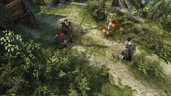 Divinity: Original Sin II — Screenshoty
