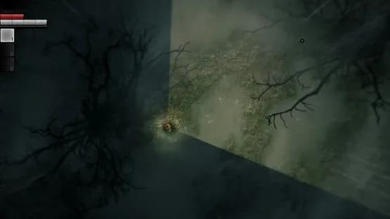 Darkwood — Screenshots