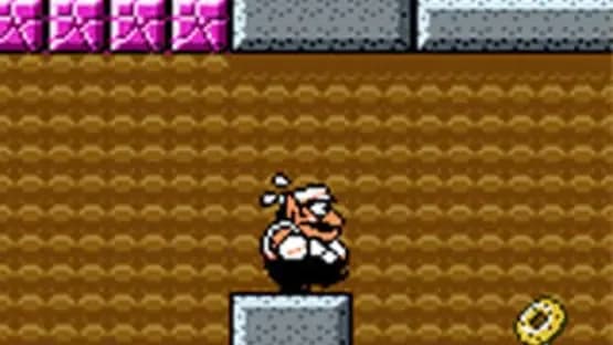 Wario Land 3 — Screenshoty