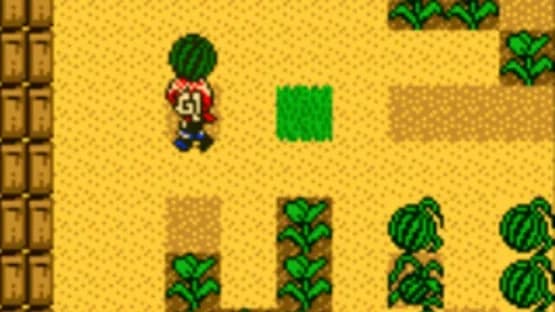 Harvest Moon 2 GBC — Screenshoty