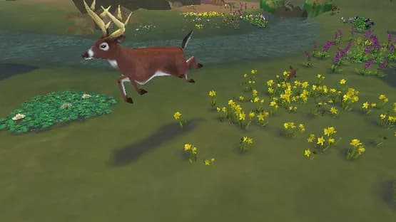 SimAnimals — Screenshoty