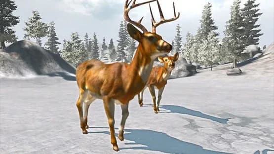 Cabela's Trophy Bucks — Screenshoty