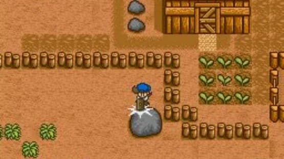 Harvest Moon — Screenshoty