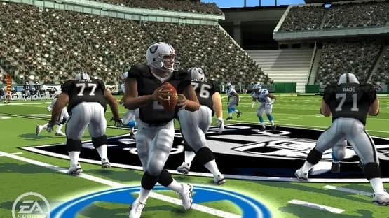 Madden NFL 09 — Screenshoty