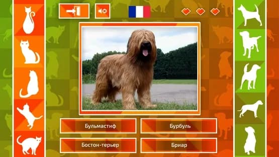 JQ: dogs & cats — Screenshoty