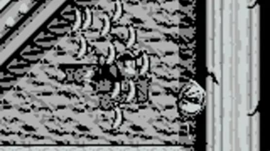 Donkey Kong Land — Screenshoty