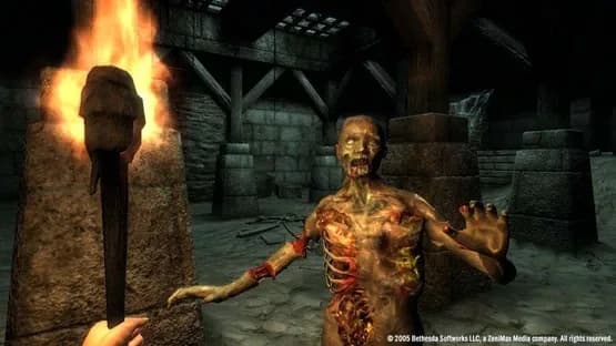 The Elder Scrolls IV: Oblivion - Game of the Year Edition Deluxe — Screenshoty