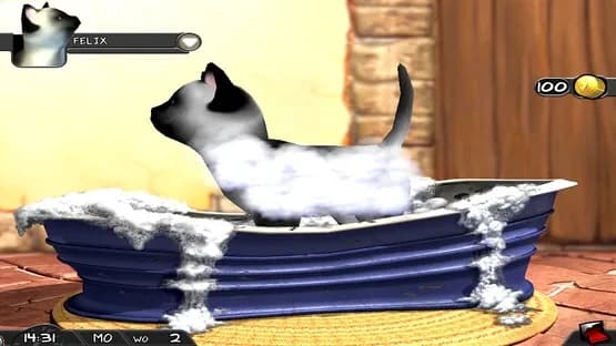 My Best Friends: Cats & Dogs — Screenshoty