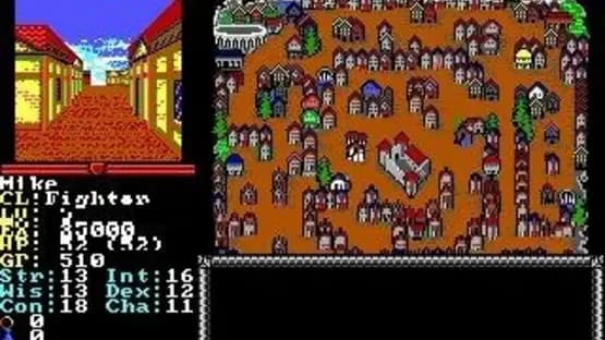 Advanced Dungeons & Dragons: Hillsfar — Screenshoty