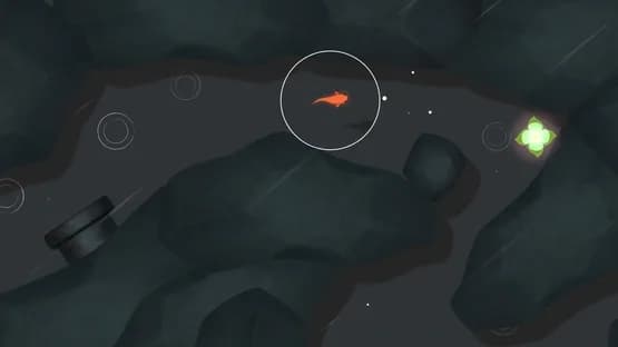 Koi — Screenshots