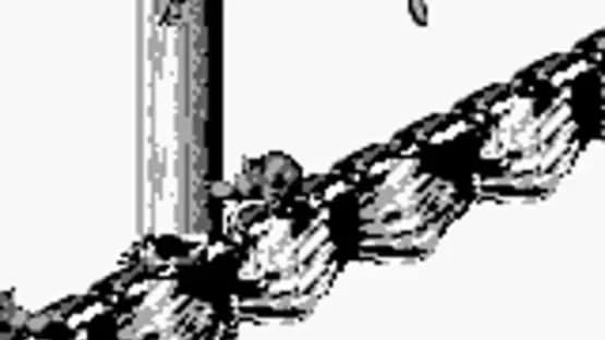 Donkey Kong Land 2 — Screenshoty