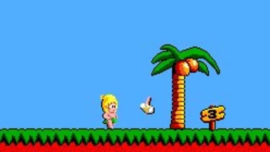 Wonder Boy — Screenshoty