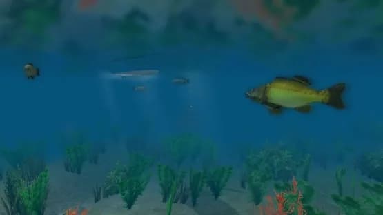 European Fishing — Screenshoty