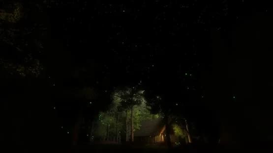 Fireflies — Screenshoty