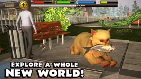 Stray Cat Simulator — Screenshoty