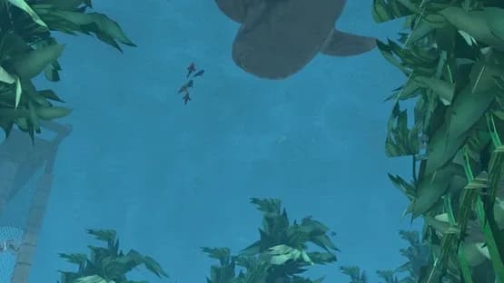 Wildlife Park 2: Marine World — Screenshots