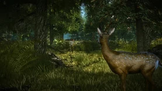 The Witcher 2: Assassins of Kings - Enhanced Edition — Screenshoty