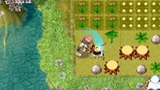 Rune Factory 2: A Fantasy Harvest Moon — Screenshoty