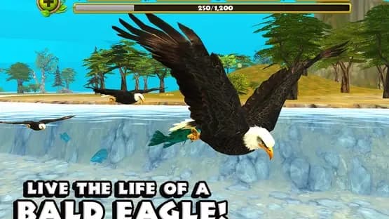 Eagle Simulator — Screenshots