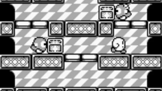 Kirby's Dream Land — Screenshoty